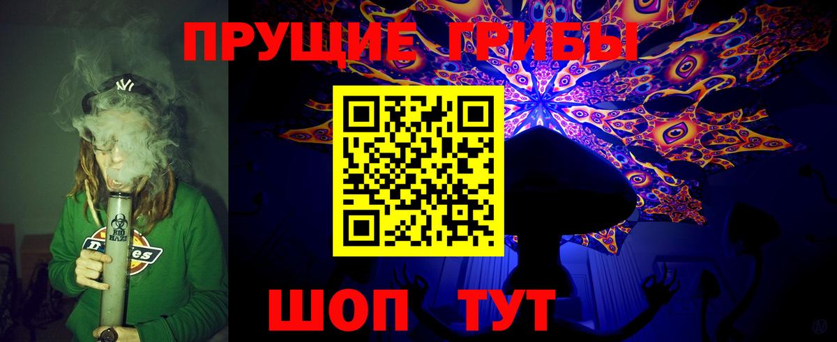 Шарыпово  сколько стоит  Вход с VPN  Галлюциногенные грибы Psilocybine cubensis 